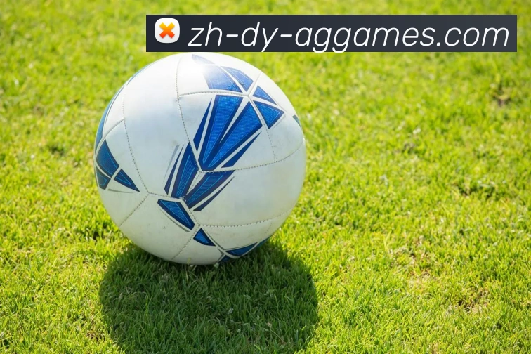 AG旗舰厅官网APP 体育赛事宣传图